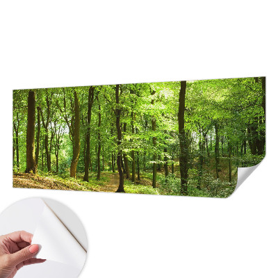 Fototapeta pre chlapca Prirodzená cesta