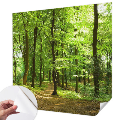 Fototapeta pre chlapca Prirodzená cesta