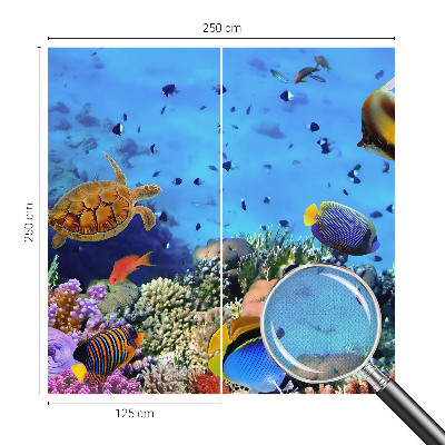 Fototapeta pre dievča Koralový útes