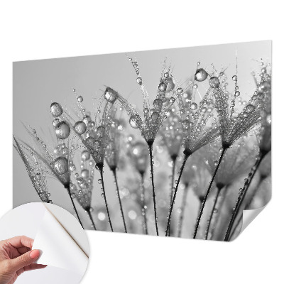 3D tapeta na stenu Mokrá pochúťka