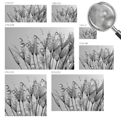 3D tapeta na stenu Mokrá pochúťka