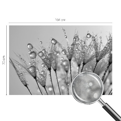 3D tapeta na stenu Mokrá pochúťka