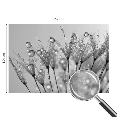 3D tapeta na stenu Mokrá pochúťka