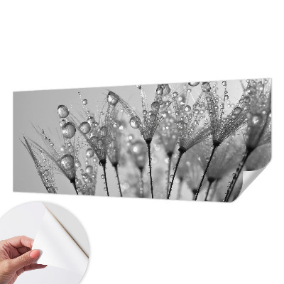 3D tapeta na stenu Mokrá pochúťka