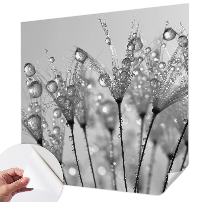 3D tapeta na stenu Mokrá pochúťka