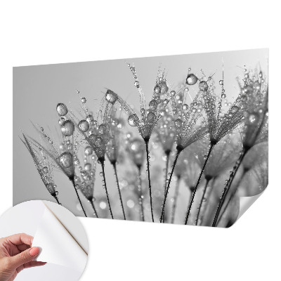 3D tapeta na stenu Mokrá pochúťka