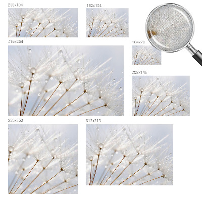 Samolepiaca fototapeta Ružová púpava