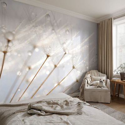 Samolepiaca fototapeta Ružová púpava