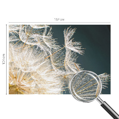 Samolepiaca fototapeta do spálne Púpava ľahkosti