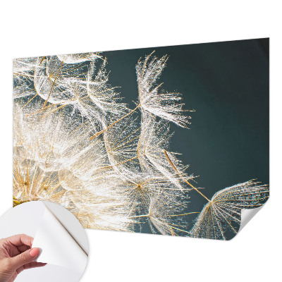 Samolepiaca fototapeta do spálne Púpava ľahkosti