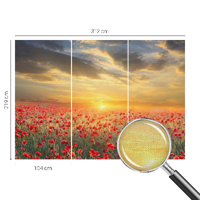 Detská fototapeta na stenu Makové pole