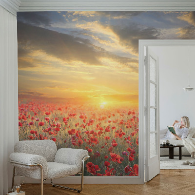 Detská fototapeta na stenu Makové pole