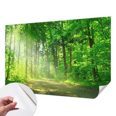Fototapeta do detskej izby s motívom lesného chodníka