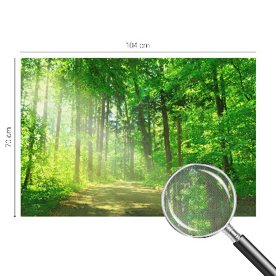 Fototapeta do detskej izby Lesný chodník