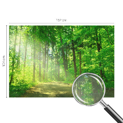 Fototapeta do detskej izby Lesný chodník