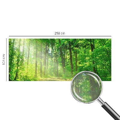 Fototapeta do detskej izby Lesný chodník