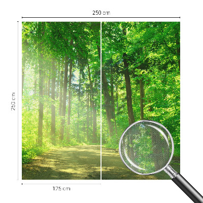 Fototapeta do detskej izby Lesný chodník