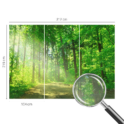 Fototapeta do detskej izby Lesný chodník