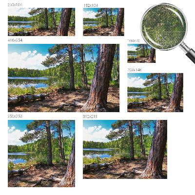 Tapeta do obývačky Lesná krajina