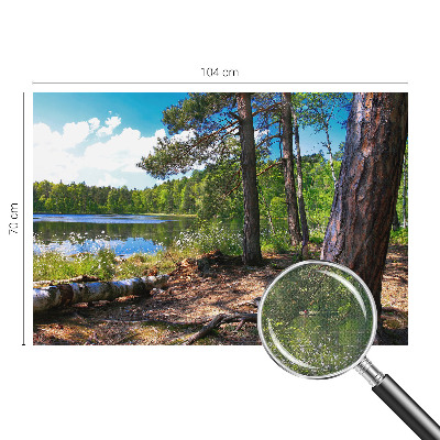 Tapeta do obývačky Lesná krajina