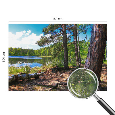 Tapeta do obývačky Lesná krajina