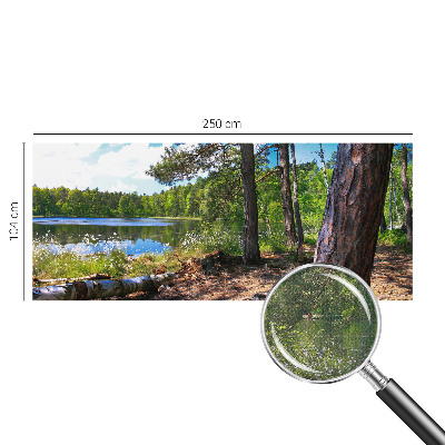 Tapeta do obývačky Lesná krajina