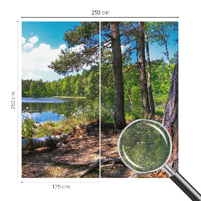 Tapeta do obývačky Lesná krajina