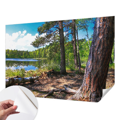 Tapeta do obývačky Lesná krajina