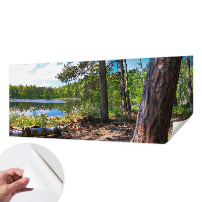 Tapeta do obývačky Lesná krajina