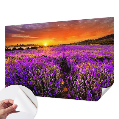 Tapeta do detskej izby s motívom levanduľového západu slnka