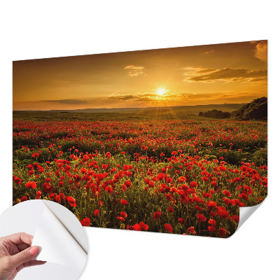 Samolepiaca fototapeta s motívom makového poľa