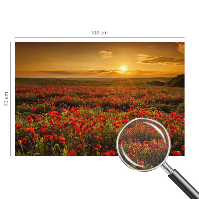 Samolepiaca fototapeta Makové pole