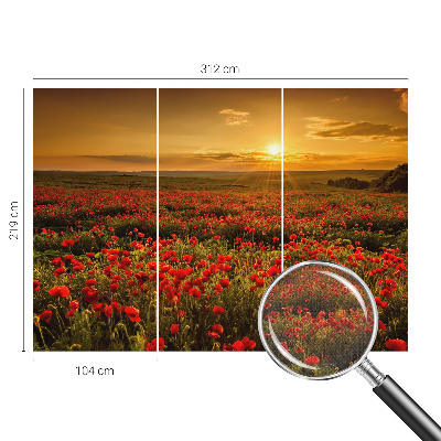 Samolepiaca fototapeta Makové pole