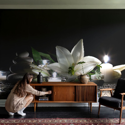 Fotografická tapeta samolepiaca Relaxačná scéna