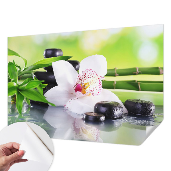 Samolepiaca fototapeta do detskej izby Pokoj prírody