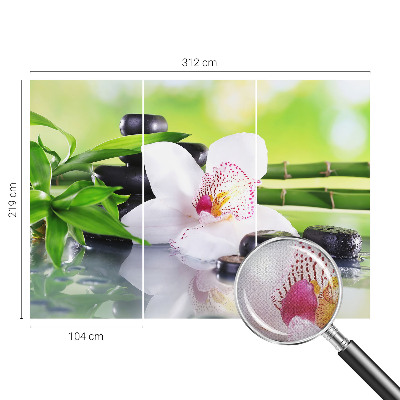 Samolepiaca fototapeta do detskej izby Pokoj prírody