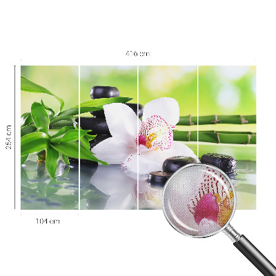 Samolepiaca fototapeta do detskej izby Pokoj prírody