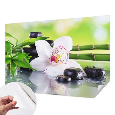 Samolepiaca fototapeta do detskej izby Pokoj prírody