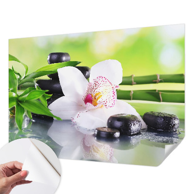 Samolepiaca fototapeta do detskej izby Pokoj prírody