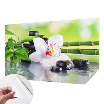 Samolepiaca fototapeta do detskej izby Pokoj prírody