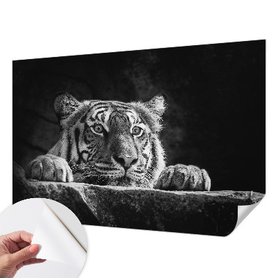 Tapeta do obývačky Dravý pohľad