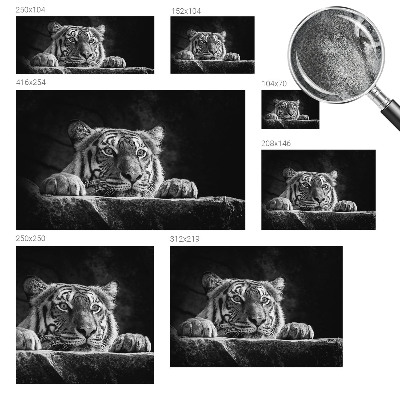 Tapeta do obývačky Dravý pohľad