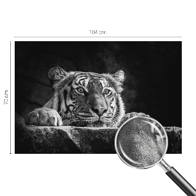 Tapeta do obývačky Dravý pohľad