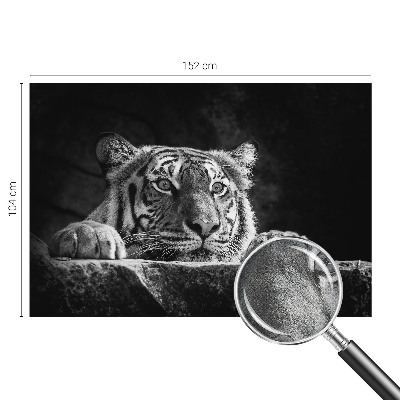 Tapeta do obývačky Dravý pohľad