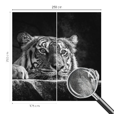 Tapeta do obývačky Dravý pohľad