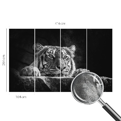 Tapeta do obývačky Dravý pohľad