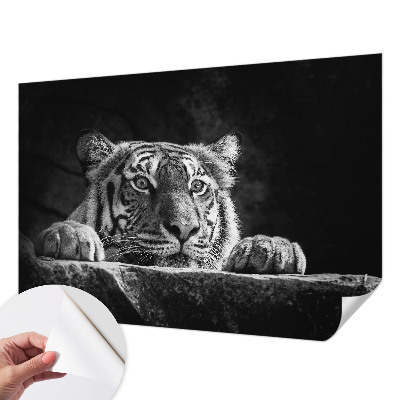 Tapeta do obývačky Dravý pohľad