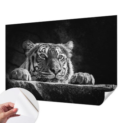 Tapeta do obývačky Dravý pohľad