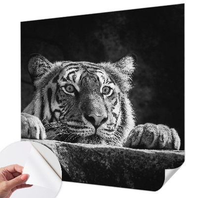 Tapeta do obývačky Dravý pohľad