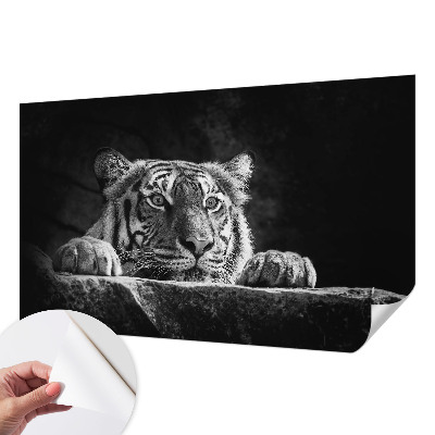 Tapeta do obývačky Dravý pohľad